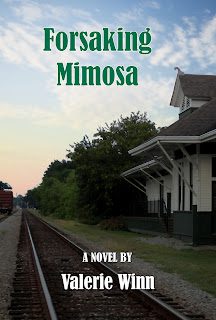 Read more about the article COMING SOON…TO A BOOKSTORE NEAR YOU