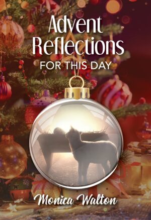 Advent Reflections For This Day (2023 edition)